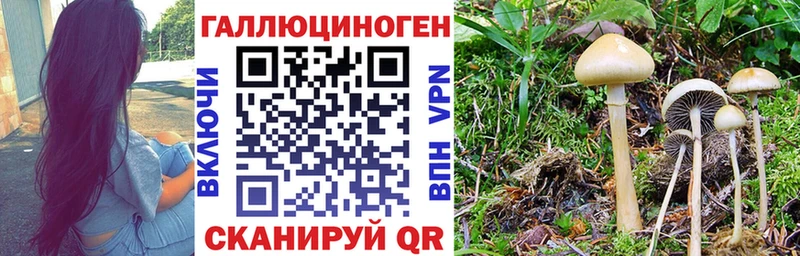 Галлюциногенные грибы ЛСД  Порхов 